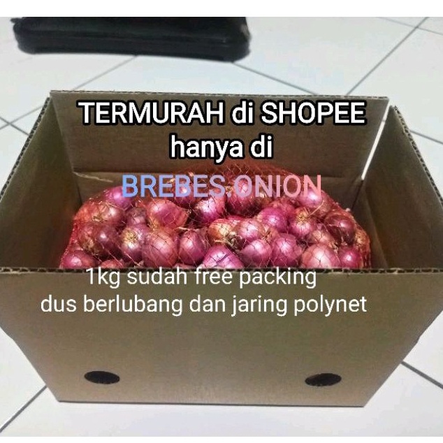 

dy Super Promo bawang merah kualitas L82