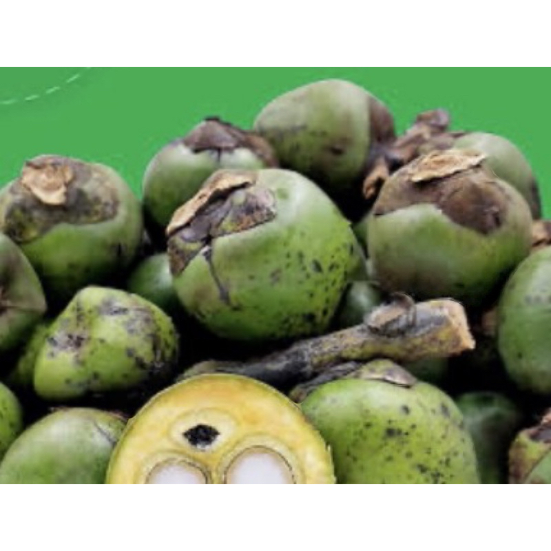 

Buah aren segar utuh per 2 kilo