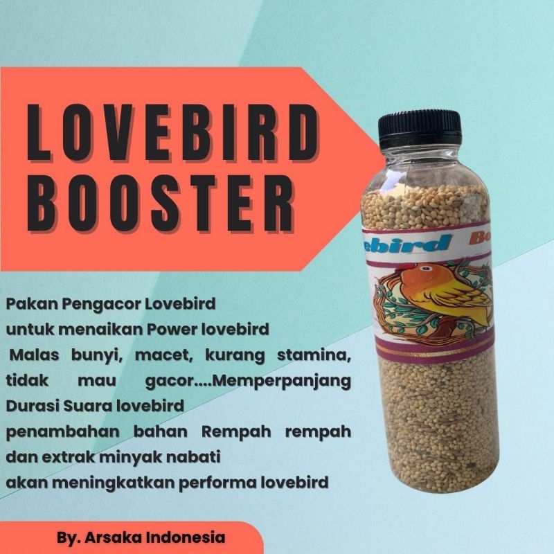 Pakan Lovebird Dosis Tinggi Pakan Penggacor Burung Lovebird