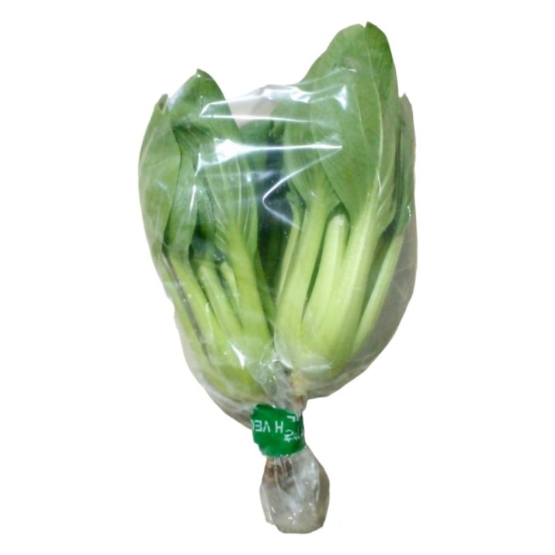 

Sayuran Pakchoi Hidroponik 200gr