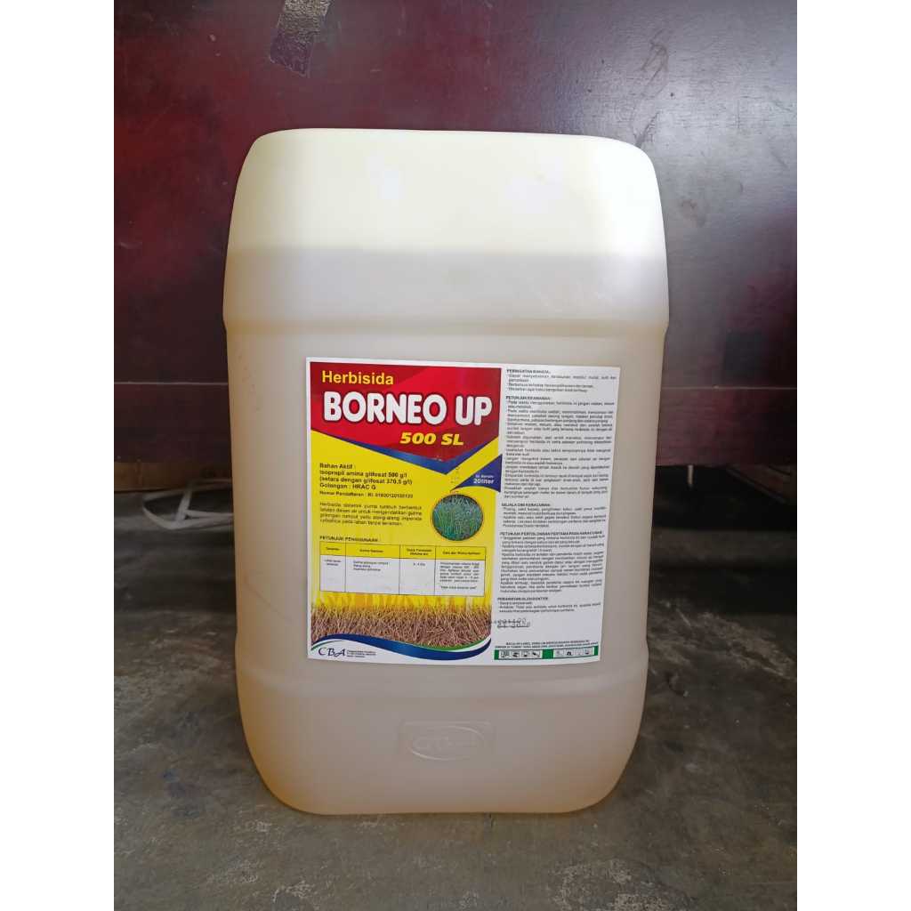 RACUN RUMPUT BORNEO UP 500SL 20L