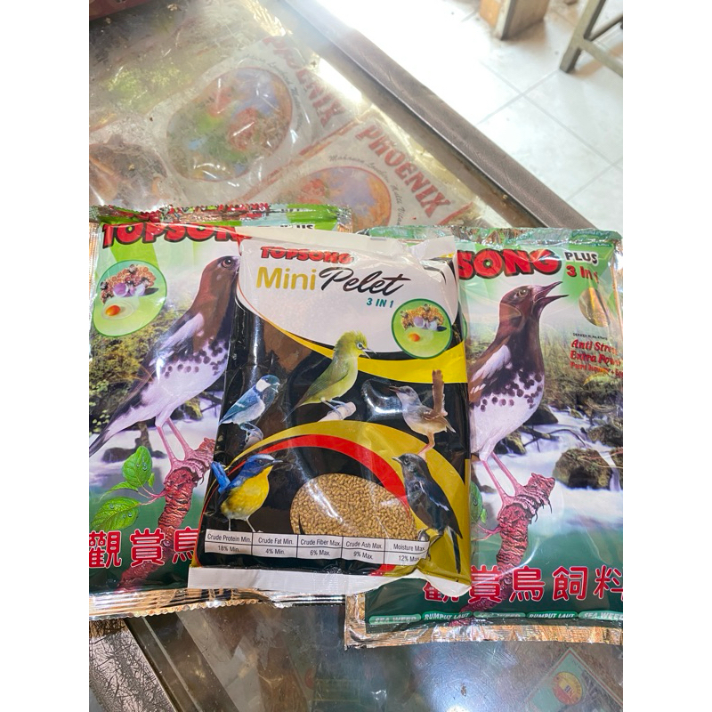 

Topsong coklat/hijau/mini