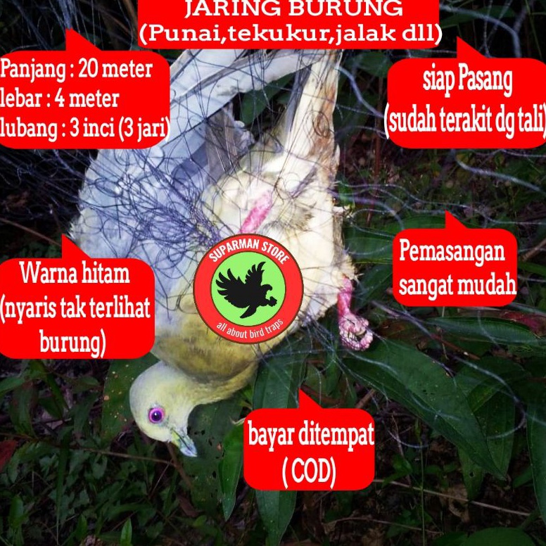 Modern JALA PUNAI JARING PUNAI PERANGKAP PUNAI JALA JARING PUNAI AMPUH JARINGAN PUNAI PIKAT BURUNG B