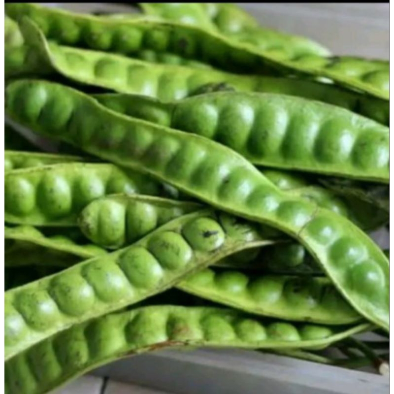 

petai pete super per papan