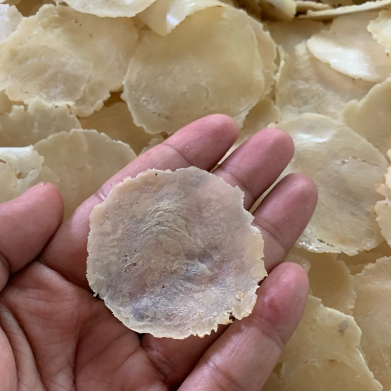 

EMPING MELINJO MENTAH 1KG SP SUPER TIPIS FULL KERING TINGGAL GORENG