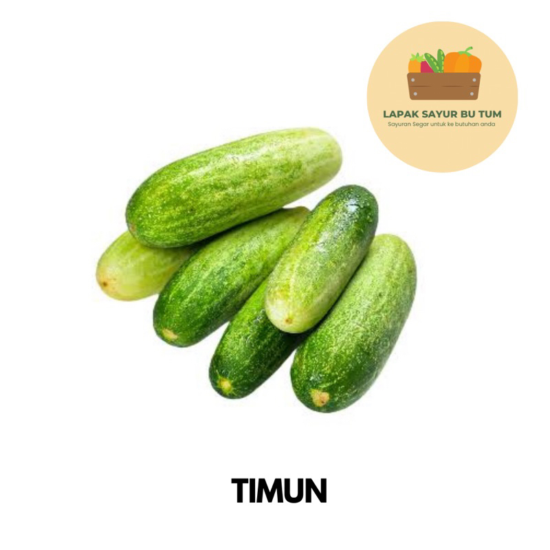 

Sayuran Segar - Timun 500gr - Lapak Sayur Bu Tum