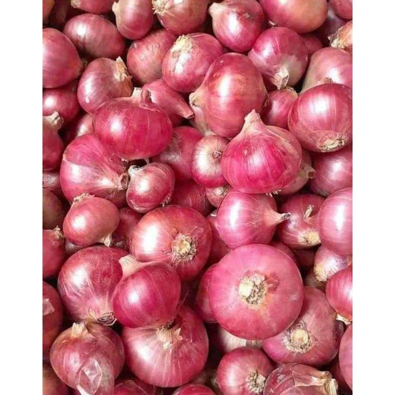 

BAWANG MERAH BALI KARET LOKAL GARUT 1KG