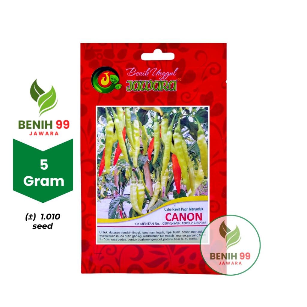 Benih Cabe rawit putih CANON JAWARA