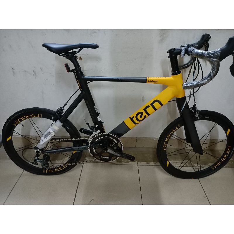 tern Surge Pro minivelo