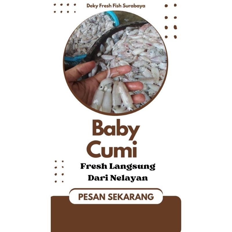 

Baby Cumi 1 kg