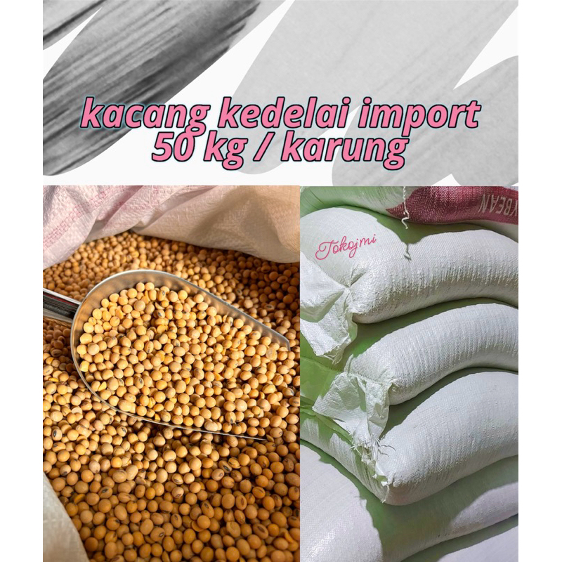 

Kacang kedelai import 1 karung / 50kg