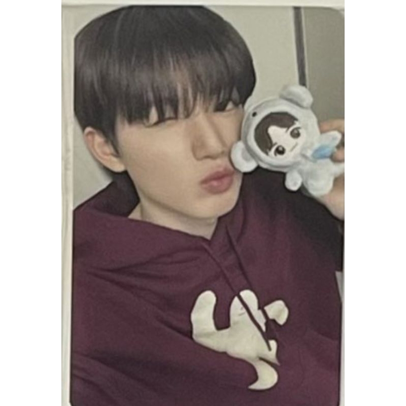 Photocard Junkyu TREASURE Benefit Funny Plush Doll Ddayo