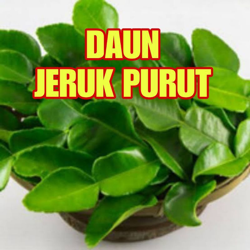 

DAUN JERUK PURUT BUMBU PENYEDAP MASAKAN