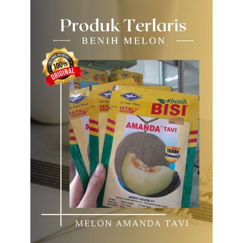 Benih Melon AMANDA TAVI