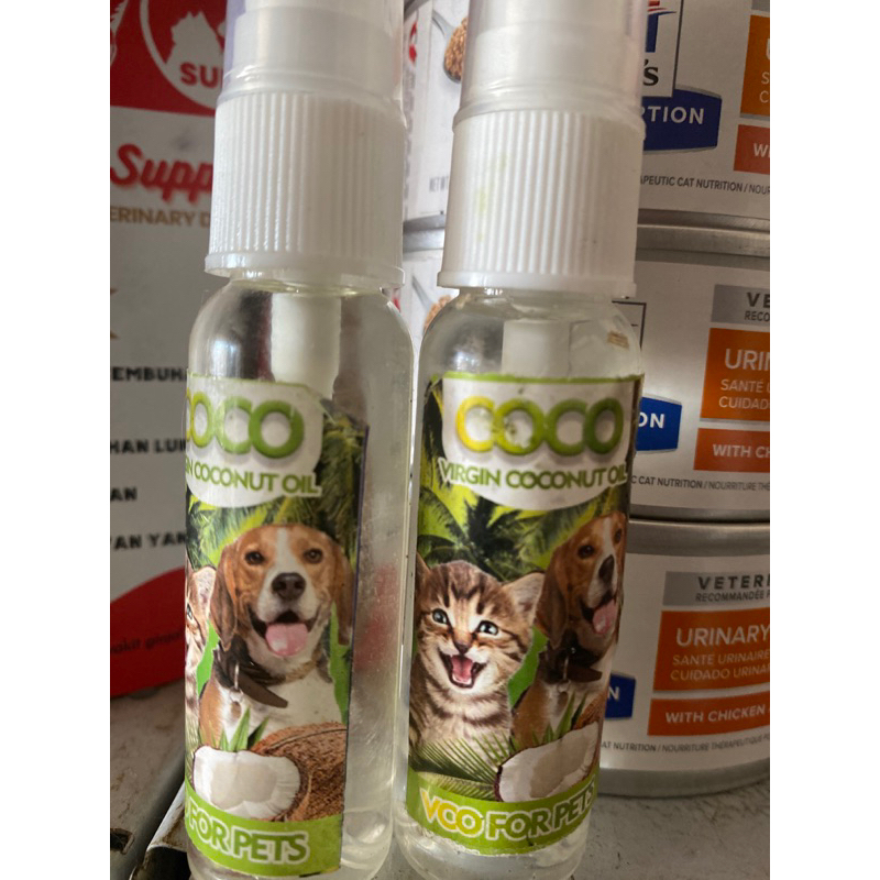 VCO untuk jamur pada kucing