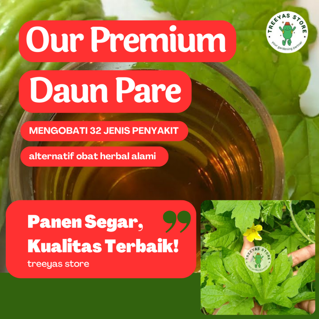 

Treeyas Obat Herbal Daun Pare Fresh Sayuran Fresh Organic Siap Pakai