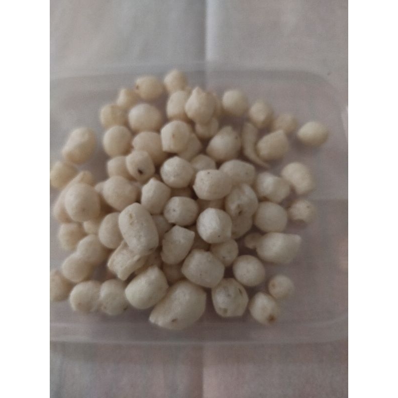 

pilus kletuk khas Tegal 1kg