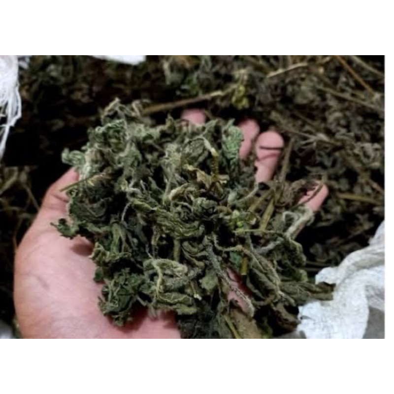 

Daun bandotan kering natural 1 kg-az
