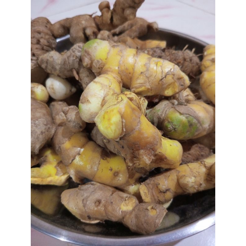 

KUNYIT PUTIH SEGAR 500 Gram