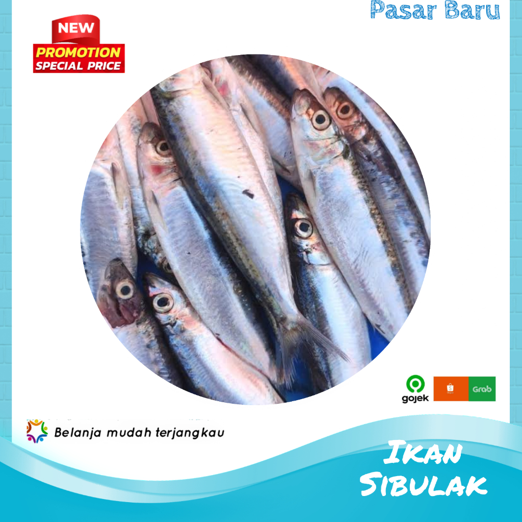 

Ikan Sibulak • Isi 4 atau Lebih ✓ Murah | Pasar Baru Makassar