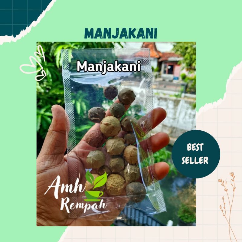 

Buah Manjakani, manjakani hijau