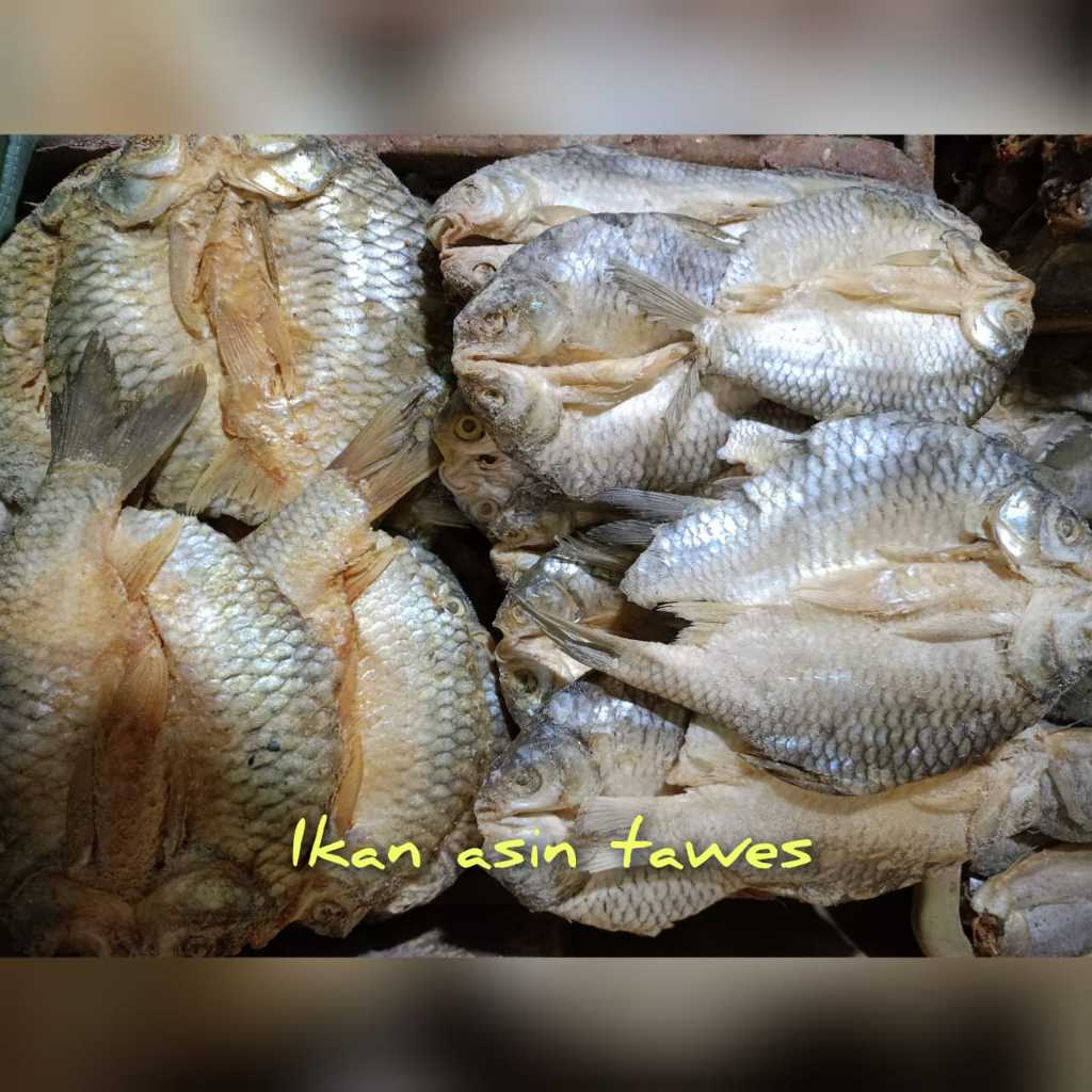 

Promo Ikan Asin Tawes Segar Kualitas Super Paling Murah