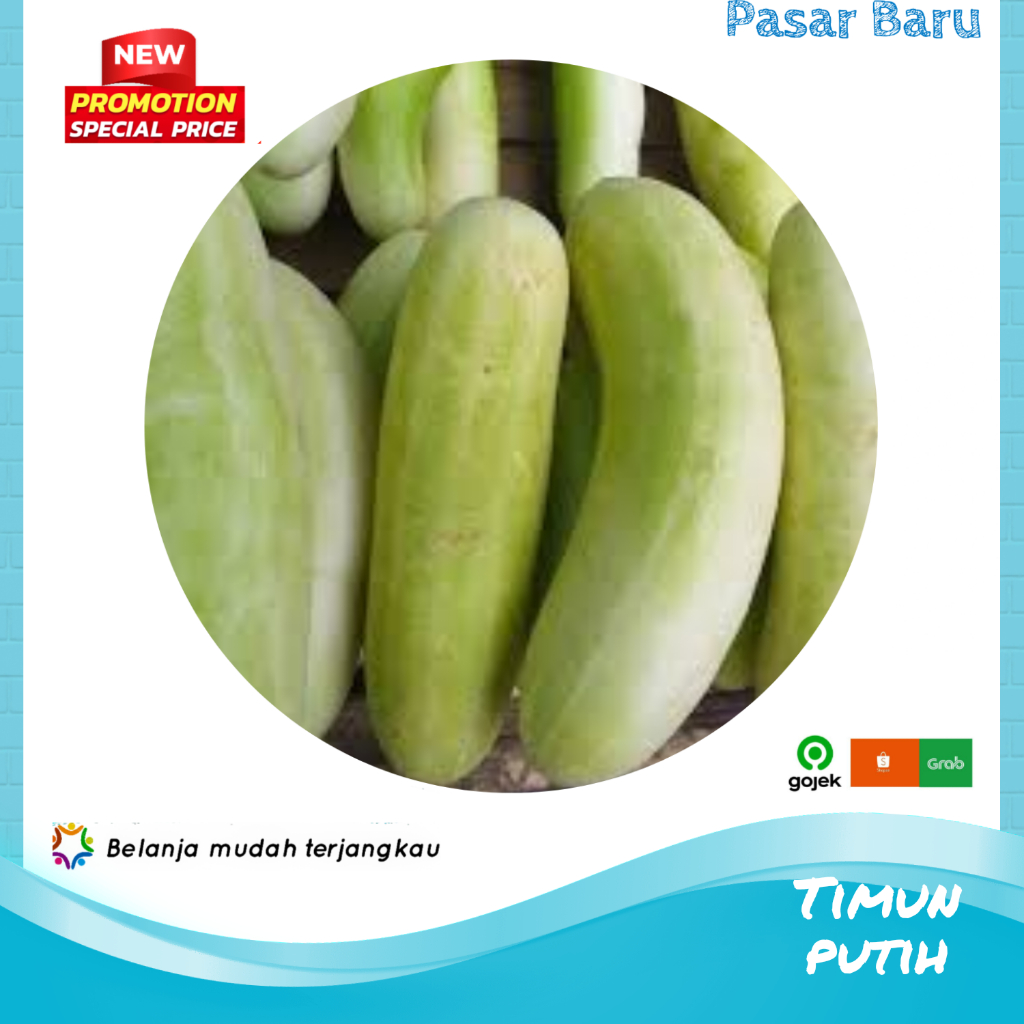 

Timun Putih • 1Bijinya ✓ Murah | Pasar Baru Makassar