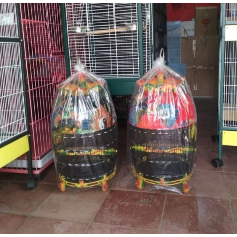 Kandang burung perkutut mahkota biasa