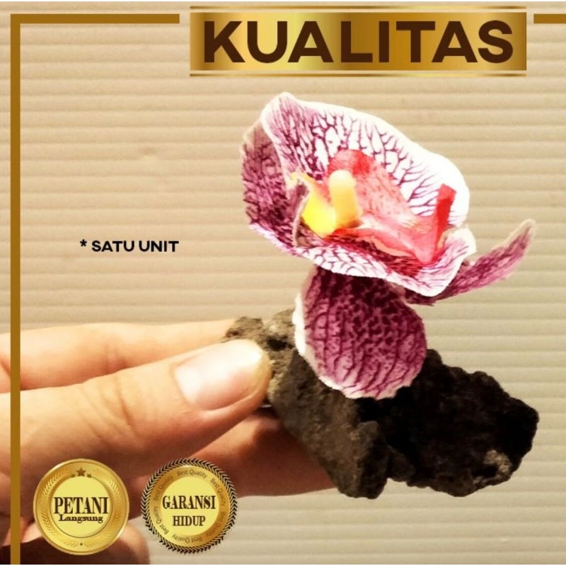 Anggrek Ungu Tanaman Air Plastik Hiasan Aquarium Ikan Hias Aquascape