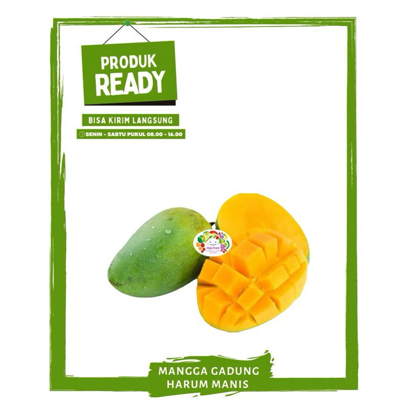 

Mangga Gadung 1Kg/ Buah Buahan Segar Ready On Mallahrizwa