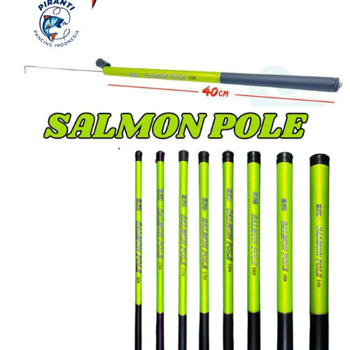 Joran Tegek Bless Salmon Pole Ruas Pendek