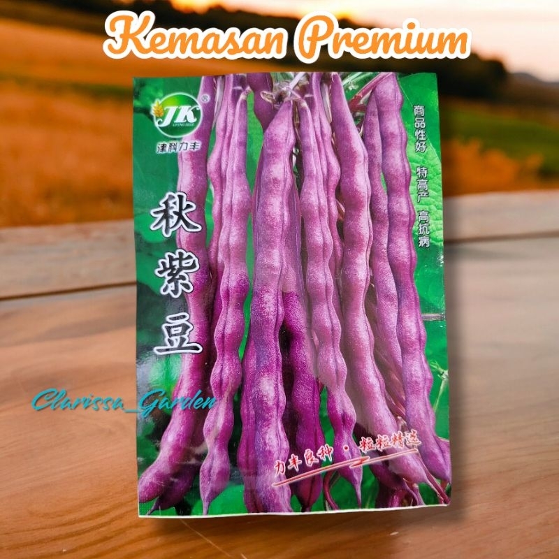 (KEMASAN PREMIUM) BIJI/BENIH BUNCIS UNGU
