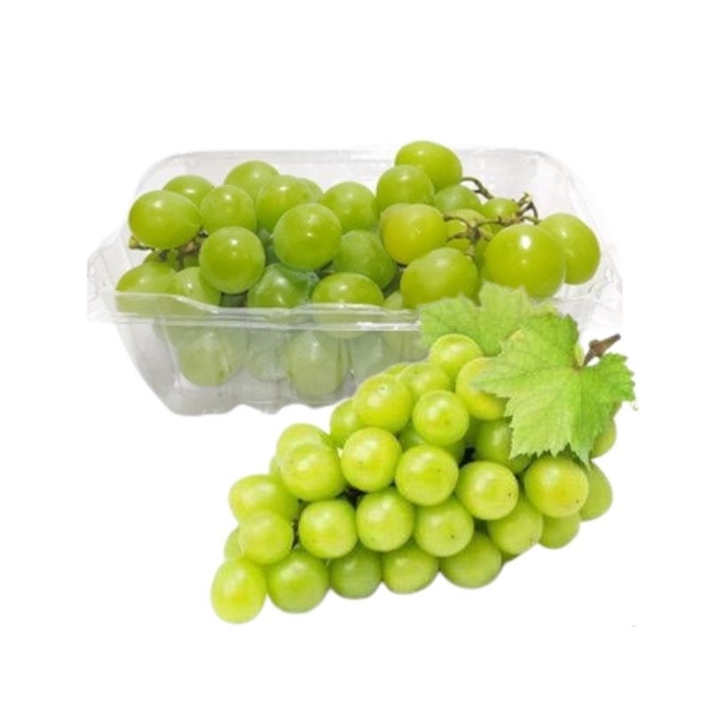 

anggur hijau import 500gr