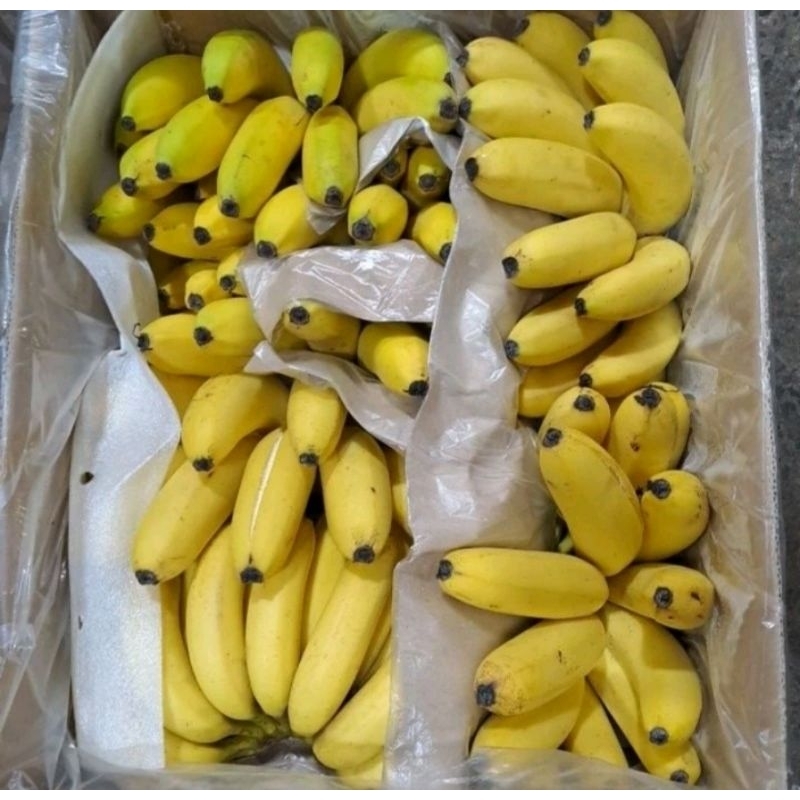 

Pisang Sunpride/Cavendish 1 sisir