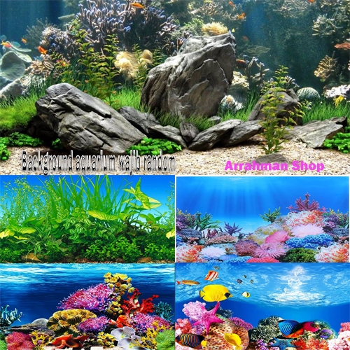 Background Wallpaper Aquarium Panjang Meteran Tinggi 30 40 50 60 cm Begron Gambar Belakang Cover Kac