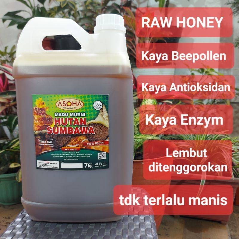 

Madu Hutan Liar Sumbawa 7kg | Madu Asli | Madu Murni | Raw Honey | Obati Asam Lambung