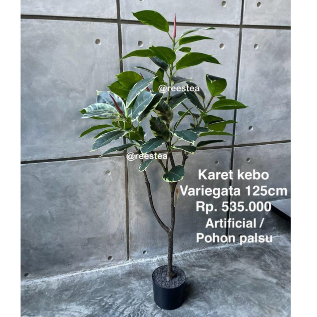 Pohon Karet Kebo Variegata Tinggi 125cm/ Pohon Hias Palsu/ Artificial plant