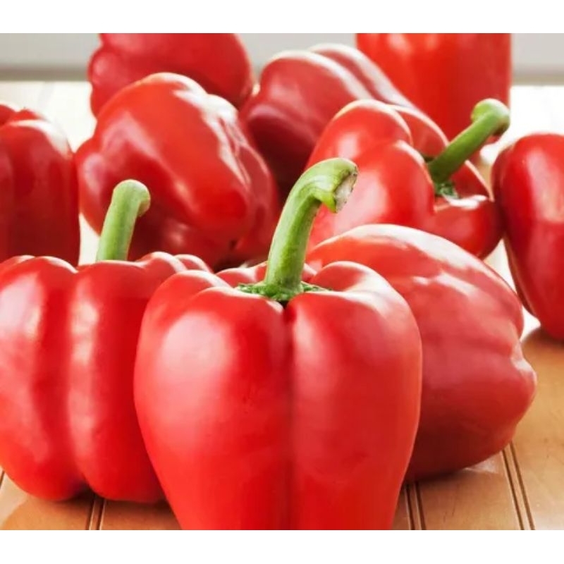 

Paprika Merah 1kg