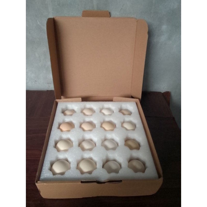 

Telur Tetas Ayam Kampung Petelur ELBA