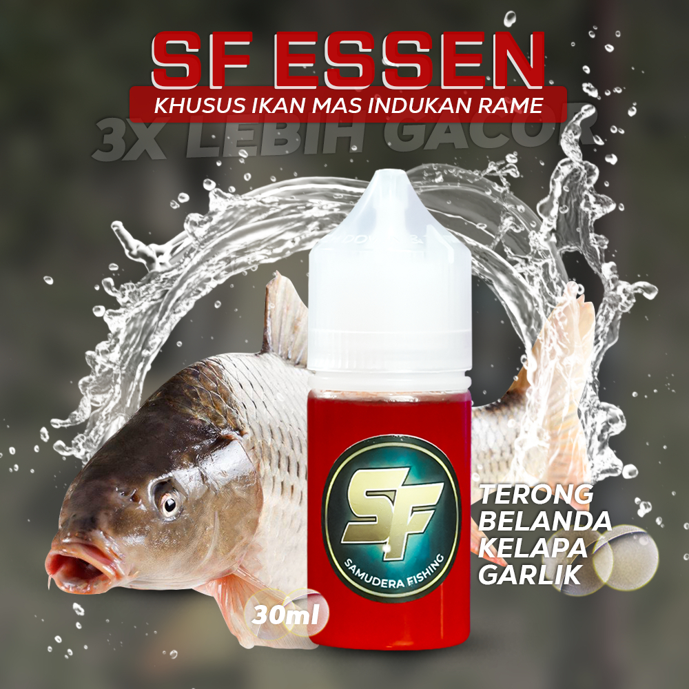 SF Essen Ikan Mas Wangi Gurih Terong Belanda Garlic Umpan Indukan Rame Gacor