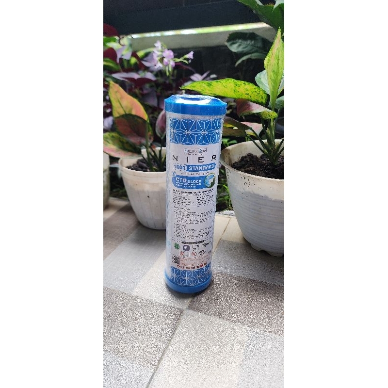 Carbon Block / CTO NIER STANDARD BIRU 10" Iodine 1000