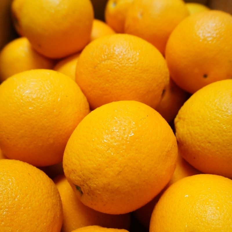 

Buah Sunkist Fresh 1kg