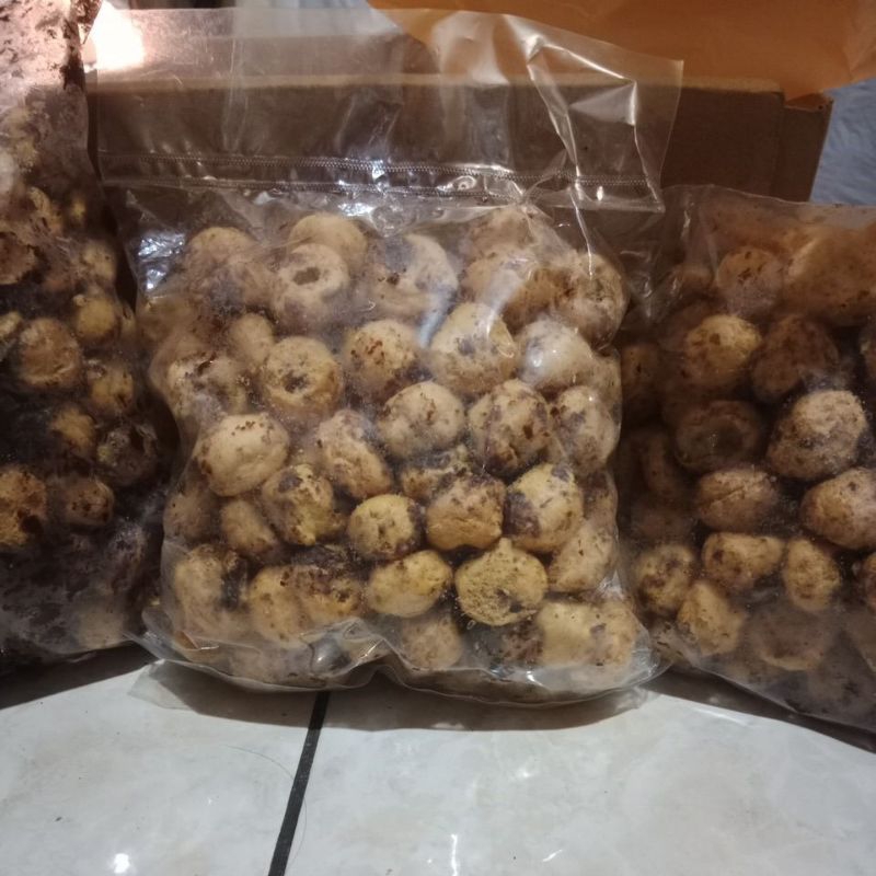 

kue soes isi coklat