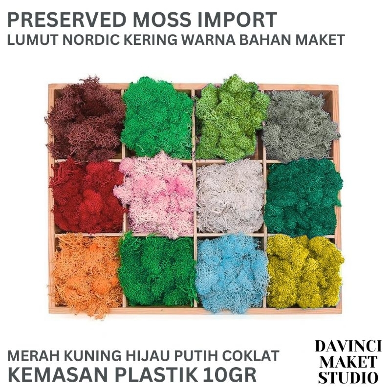 Preserved Moss Dried Reindeer Nordic - Semak Daun Foliage Bahan Maket Miniatur Diorama 10gr