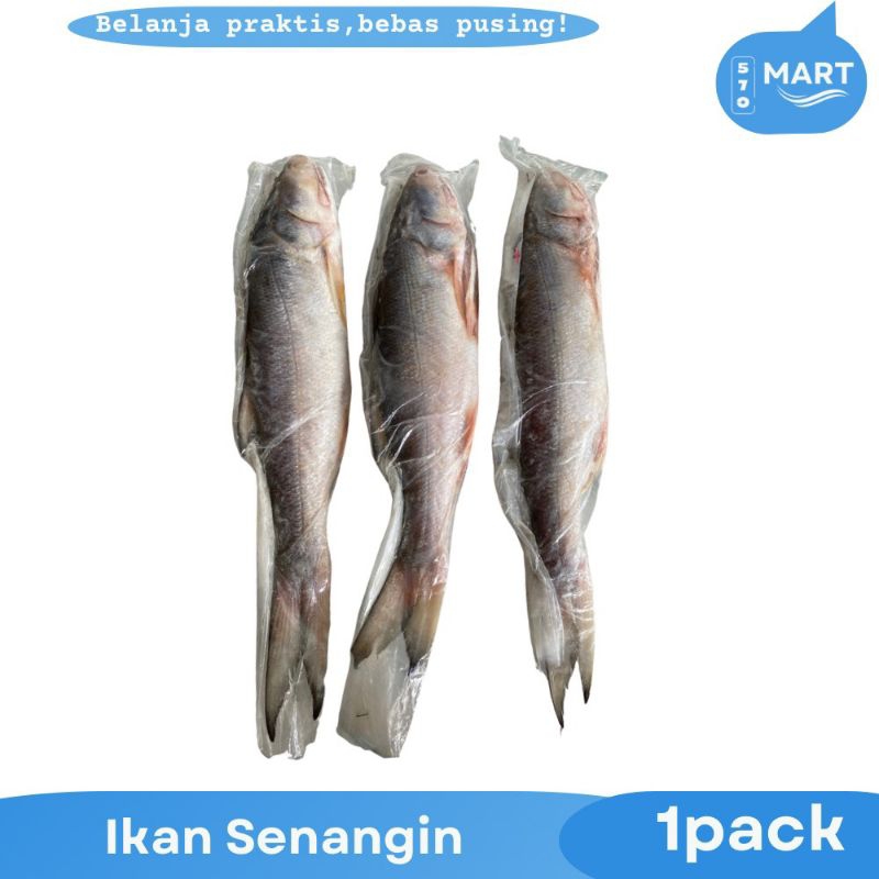 

ikan Senangin Segar Beku 1pack