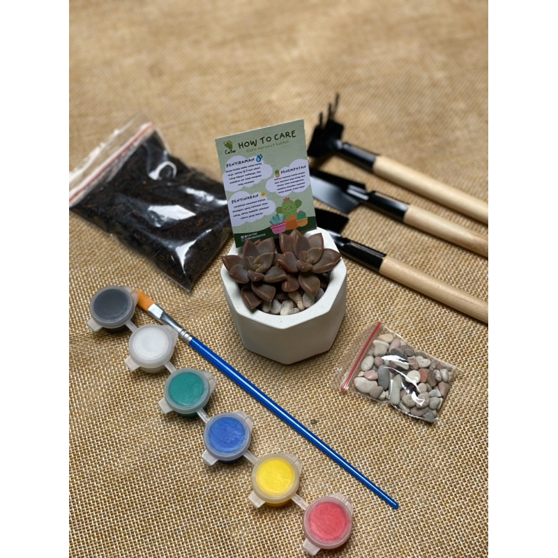 Planting dan Painting Kit Kaktus / Hampers kaktus / Workshop anak