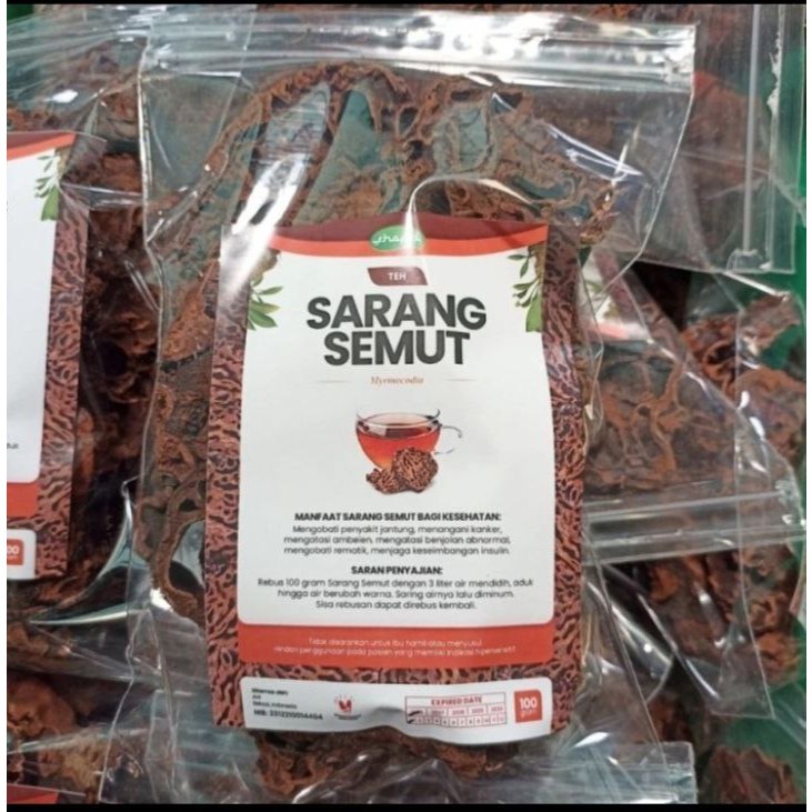 

Sarang semut papua 100 gram