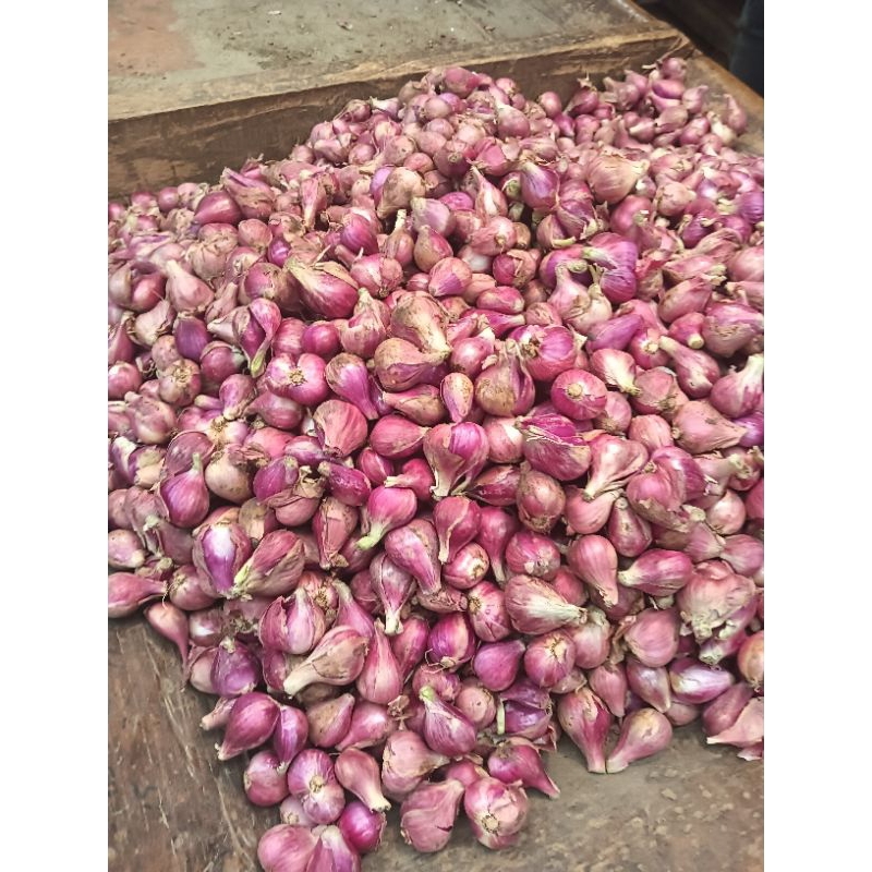 

BAWANG MERAH BREBES SUPER ANTI LENGKET/ BASAH 1Kg
