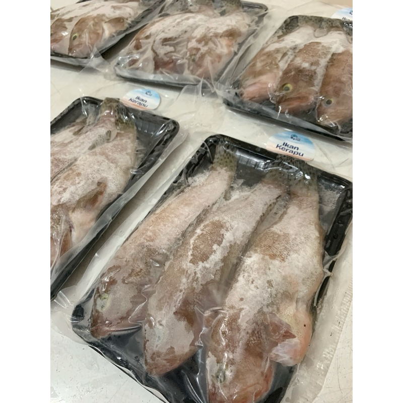 

Tsakha Fish - (500 gr) Ikan Kerapu whole