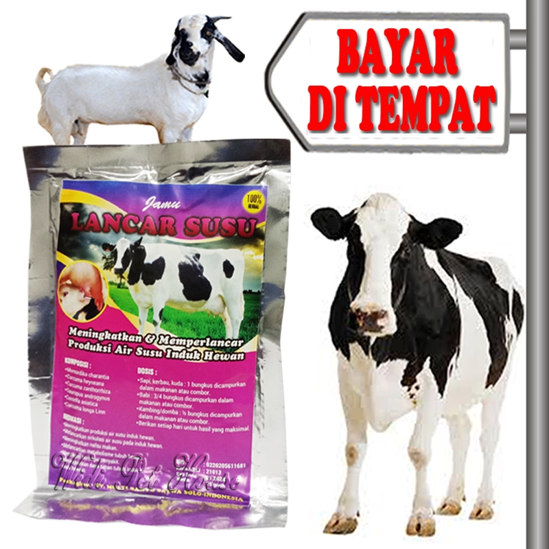 Vitamin Pelancar Air Susu Sapi Kambing Perah Jamu Lancar Hewan Ternak